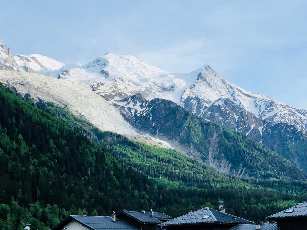 Mont Blanc 43, Vue Mont Blanc , Balcon, Parking Apartment Chamonix ภายนอก รูปภาพ