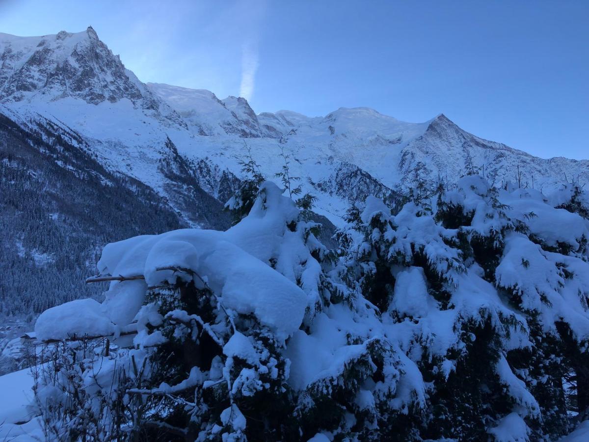 Mont Blanc 43, Vue Mont Blanc , Balcon, Parking Apartment Chamonix ภายนอก รูปภาพ
